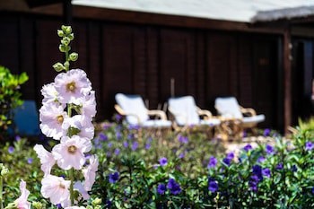 Abu Dabbab Lodge