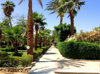 Giftun Azur Resort - All Inclusive