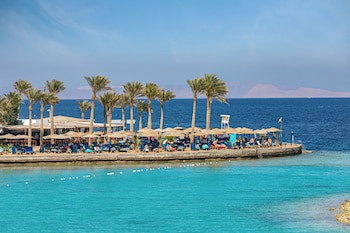 Arabia Azur Resort - All Inclusive