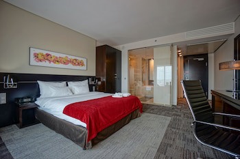 Andersia Hotel & Spa Poznan, A Member Of Radisson Individuals
