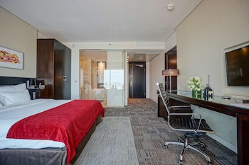 Andersia Hotel & Spa Poznan, A Member Of Radisson Individuals