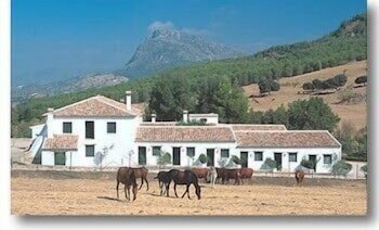 Hotel El Horcajo