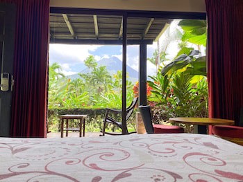 Arenal Manoa & Hot Springs Resort