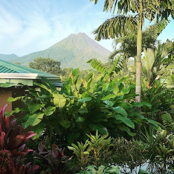 Arenal Manoa & Hot Springs Resort