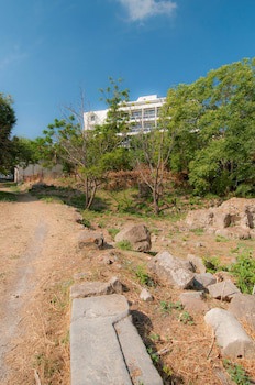 Alexandra Hotel fotoğrafı