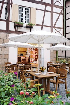 Colmar Tropicale