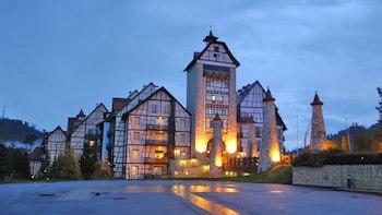 Colmar Tropicale