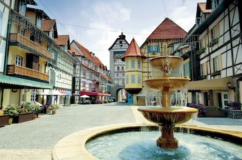 Colmar Tropicale