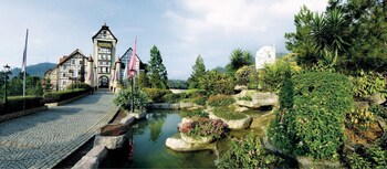 Colmar Tropicale