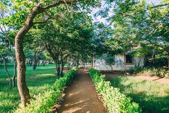 Hotel Punta Teonoste