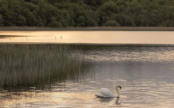 Lough Erne Resort