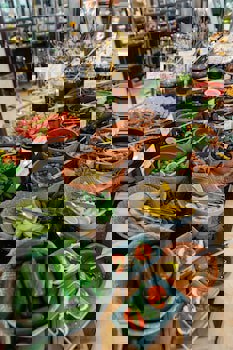 Bodrium Otel & Spa - Special Class