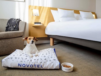 Novotel Milan Malpensa Airport galeri fotoğrafı
