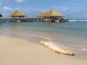 Plaza Real Resort