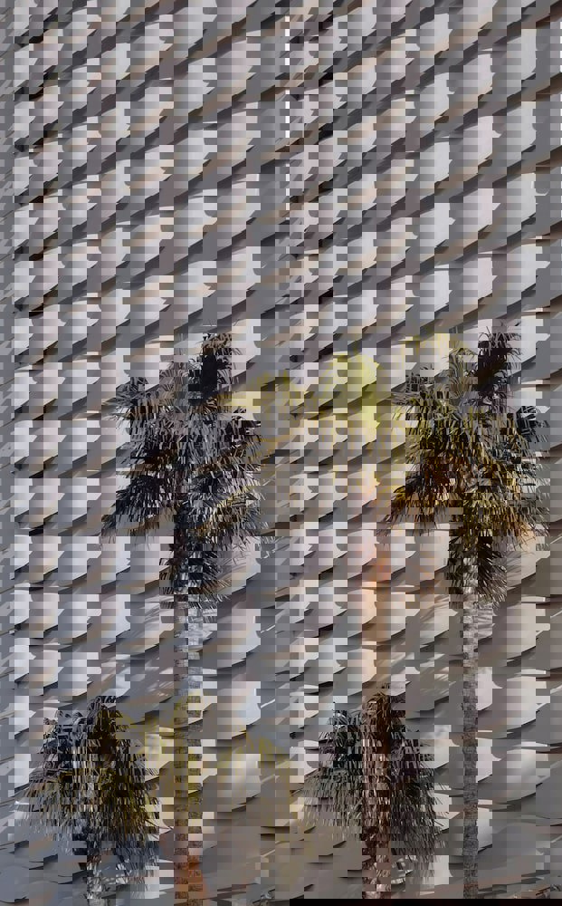 MIM Sitges Member of Melia Collection