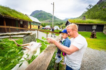 Byrkjedalstunet