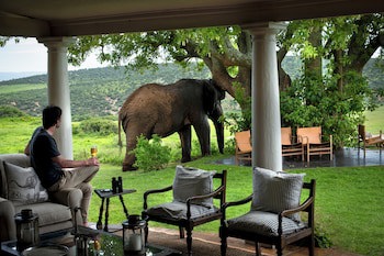 Gorah Elephant Camp