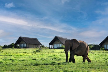 Gorah Elephant Camp