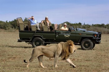 Gorah Elephant Camp