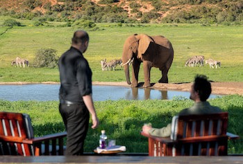 Gorah Elephant Camp