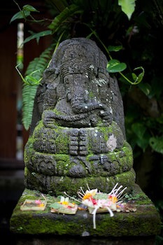 Barong Resort And Spa
