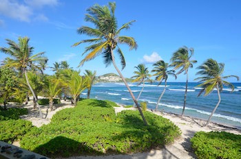 The Palms At Pelican Cove
