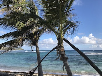 The Palms At Pelican Cove