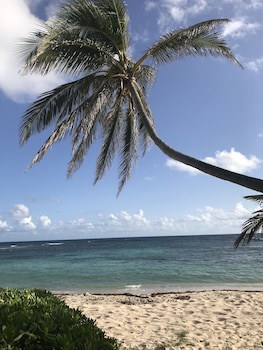 The Palms At Pelican Cove