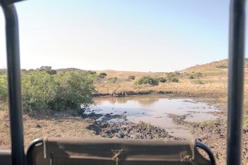 Anew Hotel Hluhluwe