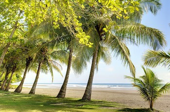 Alma Del Pacifico Beach Hotel & Spa