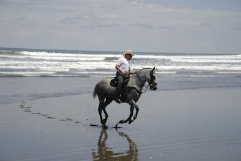Alma Del Pacifico Beach Hotel & Spa