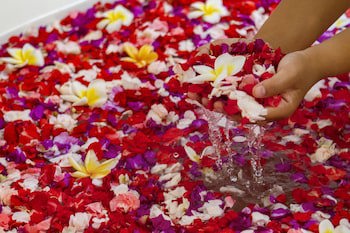 Bali Taman Beach Resort & Spa - Lovina