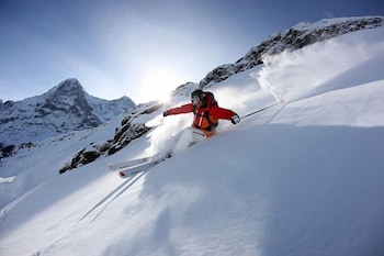 Alpinhotel Bort