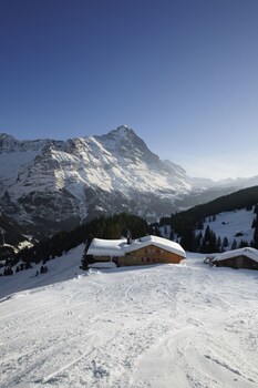 Alpinhotel Bort