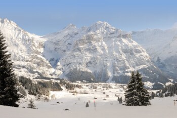 Alpinhotel Bort