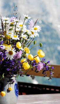 Alpinhotel Bort