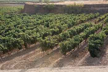F&G Logrono