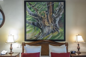 Hotel Villas Lirio