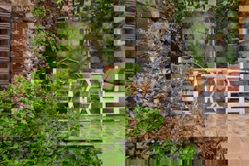 Stone Hotel Istanbul