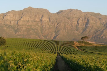 De Zalze Lodge