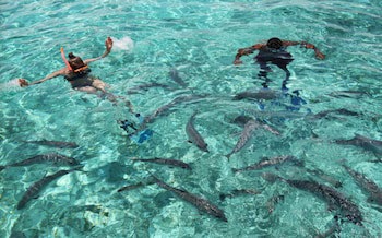 Matachica Resort & Spa - Adults Only