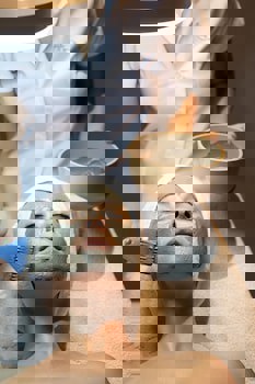 Altin Yunus Resort & Thermal Hotel