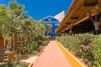 Playaballena