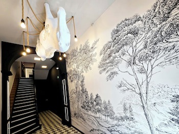 City Hotel Storch fotoğrafı