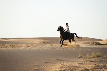 Al Maha, A Luxury Collection Desert Resort & Spa, Dubai