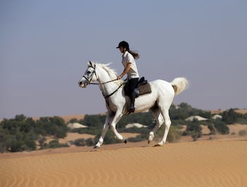 Al Maha, A Luxury Collection Desert Resort & Spa, Dubai