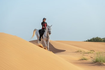 Al Maha, A Luxury Collection Desert Resort & Spa, Dubai