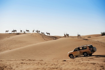 Al Maha, A Luxury Collection Desert Resort & Spa, Dubai