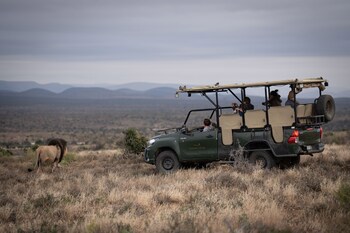 Kuzuko Lodge