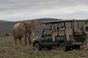 Kuzuko Lodge